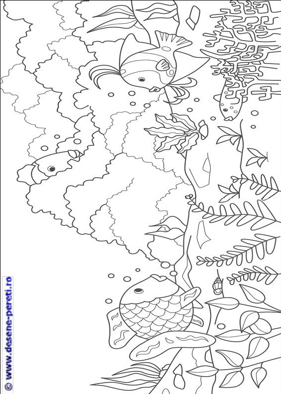 pestele curcubeu desene colorat